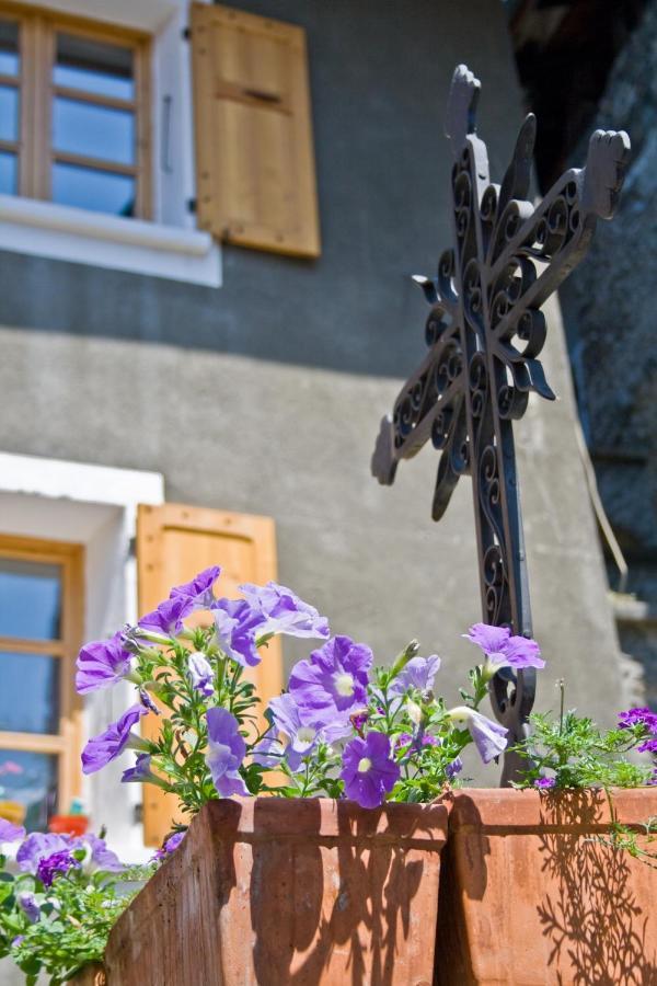 Au Cheval Blanc - Appartements Et Chambres D'Hotes Albertville Kültér fotó