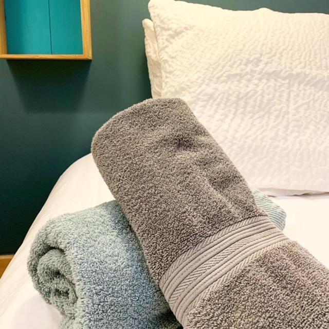 Au Cheval Blanc - Appartements Et Chambres D'Hotes Albertville Kültér fotó