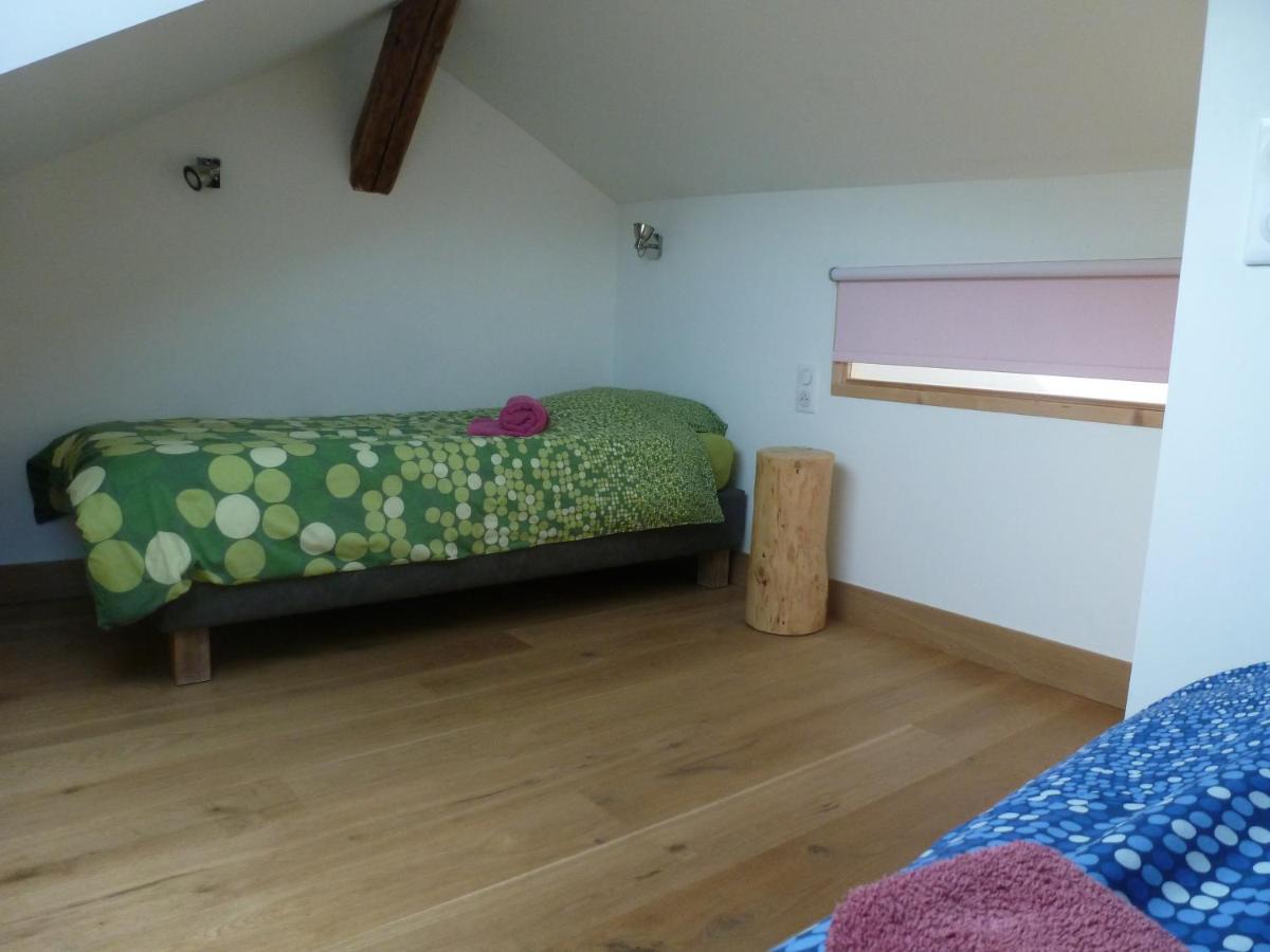 Au Cheval Blanc - Appartements Et Chambres D'Hotes Albertville Kültér fotó