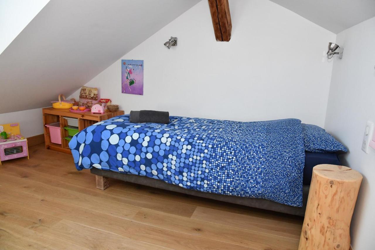 Au Cheval Blanc - Appartements Et Chambres D'Hotes Albertville Kültér fotó